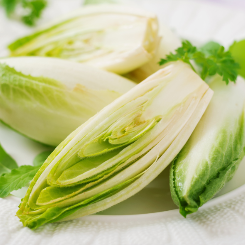 Chicory Brussels Witloof Seeds