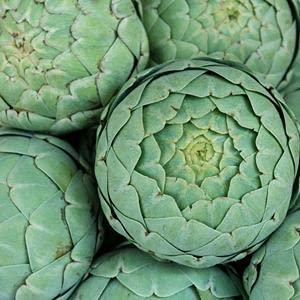 Artichoke - Green Globe Seeds - Popular Variety of Artichoke, Easy to Grow