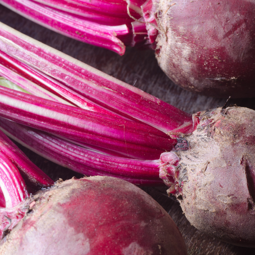 Beetroot - Cylindra Seeds