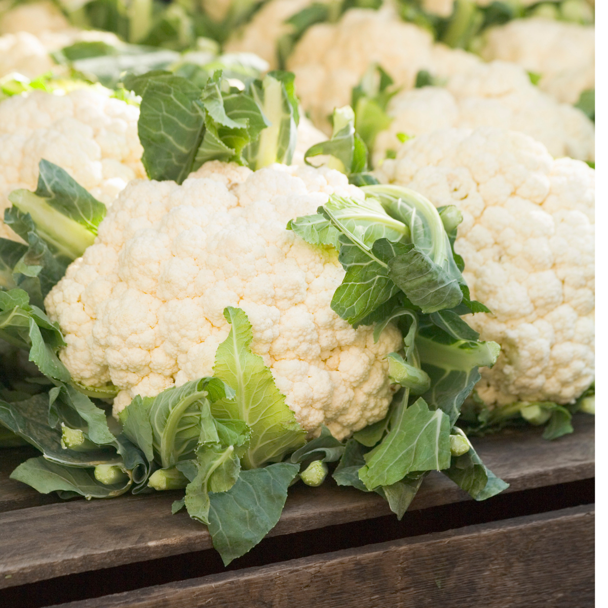 Cauliflower - Snowball Seeds