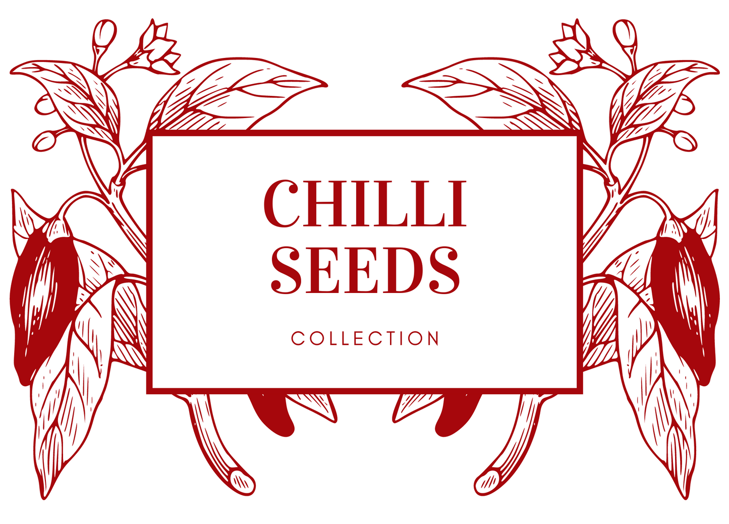 Chilli Seeds Grow Your own Box - Jalapeno, Hungarian Hot Wax, Habanero Orange, Habanero Chocolate, Scotch Bonnet Red, Anaheim Seeds