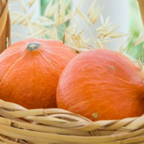 Winter Squash - Uchiki Kuri Seeds