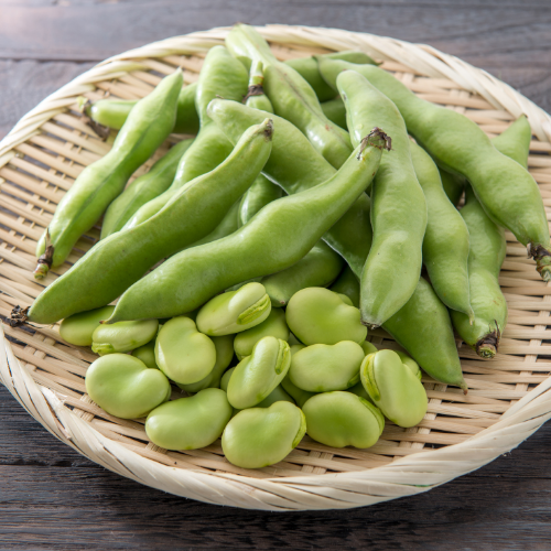 Broad Bean - Aquadulce Vicia Faba Seeds