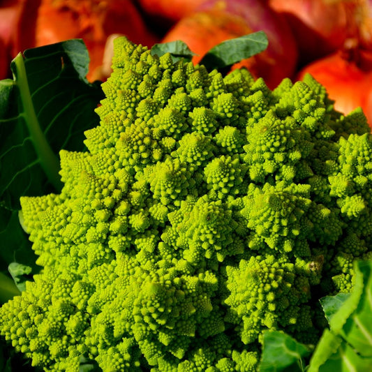 Cauliflower - Minaret - Unusual Seeds