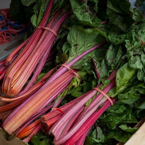 Celery - Red Soup Seeds