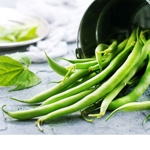 Climbing French Beans - Cobra Seeds