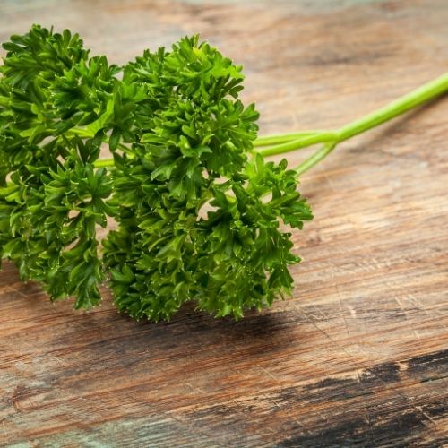 Parsley - Champion Moss Curled Seeds