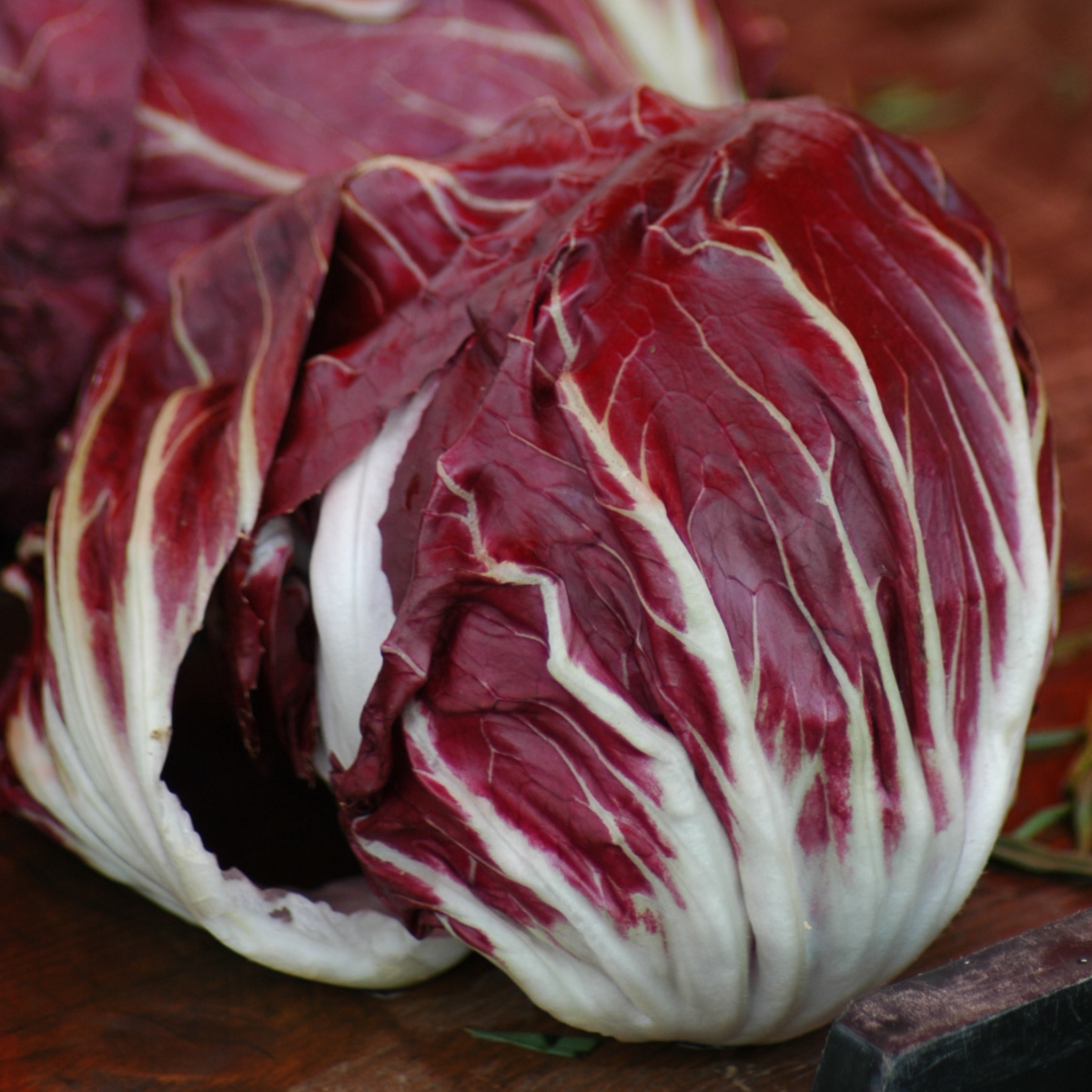 Radicchio - Palla Rossa Seeds