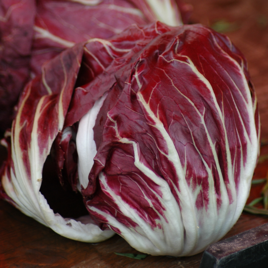 Radicchio - Palla Rossa Seeds